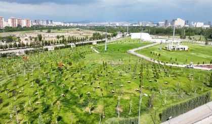 Atatürk Orman Çiftliği'ndeki dev park gün sayıyor