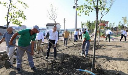 Bursa İnegöl’de 600'ncü fidan 15 Temmuz şehitlerine dikildi