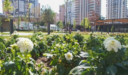 Kayseri Talas'ta rengarenk meydan