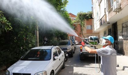 Manisa'da haşereyle mücadele sürüyor