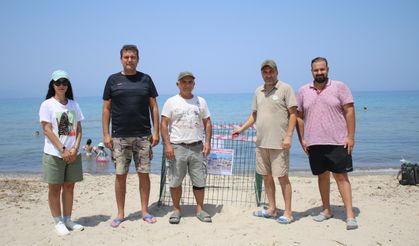 Kuşadası'nın plajları caretta carettalara yuva oldu