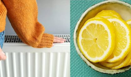 Kalorifer peteklerine neden limon koyulur? Kış mevsiminde bunu deneyin!