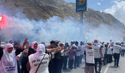 DEM Partili Hatimoğulları: Seçilmişlerin yerine atanmışı getiremezsiniz