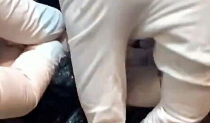 Dalyan Kanalı'nda yaralı caretta caretta bulundu