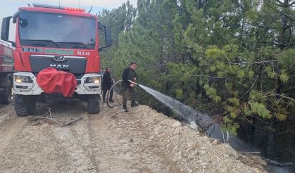 Nazilli’de orman yangını
