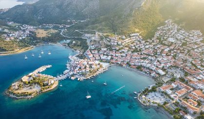 Datça'da 'mavi dil hastalığı' karantinası