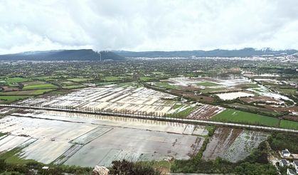 Muğla'da tarım arazileri su altında kaldı