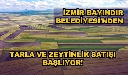 İzmir Bayındır Belediyesi’nden Yatırım Fırsatı: Tarla ve Zeytinlik Satışı Başlıyor!