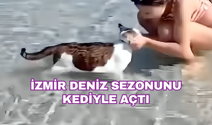 Çeşme'de bir kedinin deniz keyfi