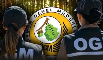 Orman Genel Müdürlüğü İŞKUR üzerinden 262 daimi işçi alacak: Başvuru rehberi ve şartlar