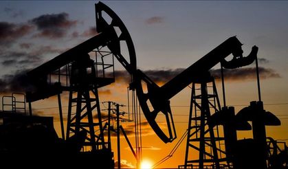 Petrol hakkına müteallik karar