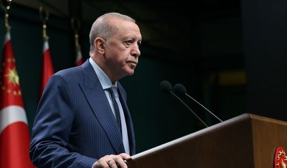 Yangınlarda sorumluluğu tespit edilen 31 kişi gözaltına alındı