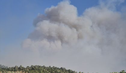 Manisa Kırsalında Yangın: Mahalleler Boşaltılıyor