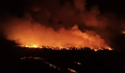 Tekirdağ ormanları alevlere teslim: Yangın Çanakkale'ye sıçradı, müdahale sürüyor!
