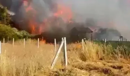 İzmir Menderes'te tarım arazisi yangını: Alevler 8 evi küle çevirdi, 2 kişi hastanede!