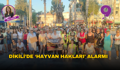 Dikili’de 'Hayvan Hakları' Alarmı