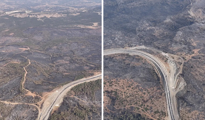 Bursa’da 10 bin futbol sahası büyüklüğündeki orman kül oldu: Türkiye’nin ciğerleri yandı