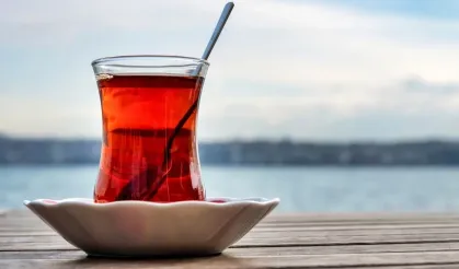 İzmir'de asırlık dut ağacının altında çay hala 5 TL