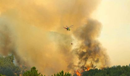 Uşak’ta orman yangını: Alevlere havadan ve karadan müdahale