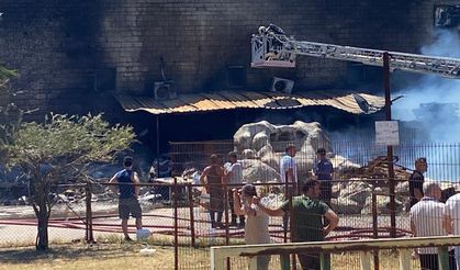 Kocaeli’de fabrika yangını 3 tesisi küle çevirdi