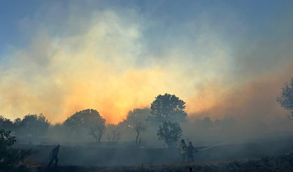 Dikili’de gece yarısı korkutan yangın: 7 ev kül oldu, 4 ev hasar gördü