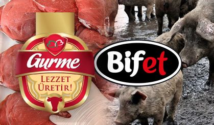 Bifet dana salamda domuz eti var mı?
