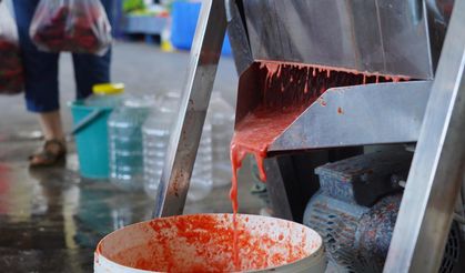 Ayvalık’ta salça zamanı başladı