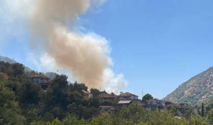 Aydın’da zeytinlik yangını 1,5 saatte kontrol altına alındı