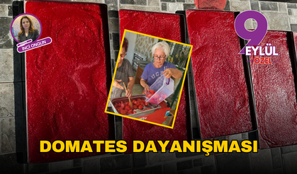 Seferihisar'da domates dayanışması