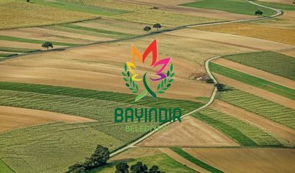 Bayındır Belediyesi milyonluk tarla satışına çıkıyor