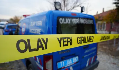 İzmir’de motosiklet faciası: Yola çıkan domuza çarpan sürücü yaşamını yitirdi