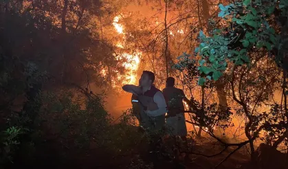 Muğla Milas’ta orman yangını paniği: Rüzgar alevleri büyüttü