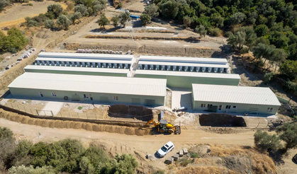 İzmir’de patili dostlara modern yuva: Yeni yaşam merkezi açılıyor