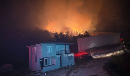 Antalya Alanya’da orman yangını: Evler tahliye edildi