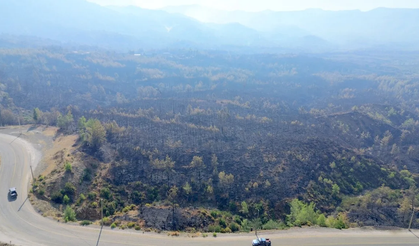 Muğla’nın ciğerleri kül oldu: Drone ile ortaya çıkan kara tablo