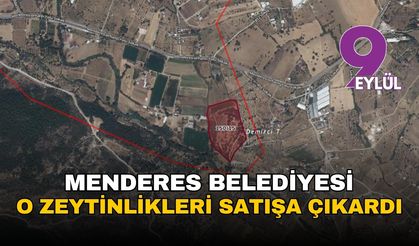 Menderes Belediyesi'nden dev satış: 93 milyonluk zeytinlikler yeni sahiplerini arıyor