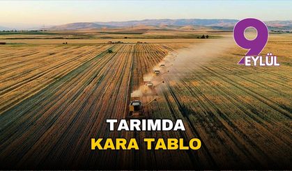 Tarımda kara tablo