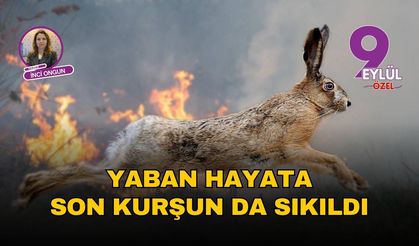 Yaban hayata son kurşun da sıkıldı