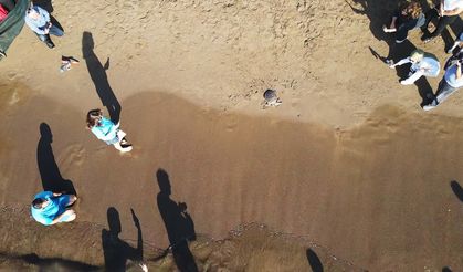 Muğla'da tedavileri tamamlanan deniz kaplumbağaları denizle buluştu