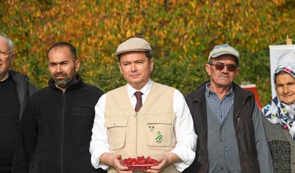 Osmangazi'de üzümsü meyvelerde organik tarım seferberliği