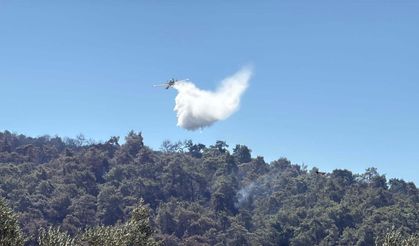 Kütahya'da çıkan orman yangını kontrol altına alındı