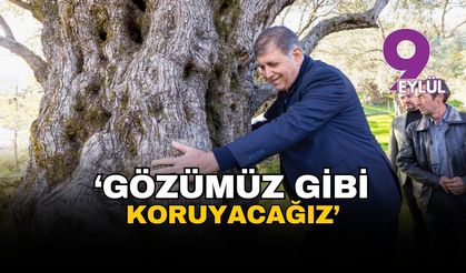 Başkan Tugay kestane hasadında: "Gözümüz gibi koruyacağız"