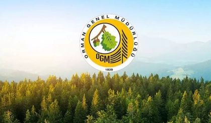 OGM personel alımı yapacak: Başvuru nasıl yapılır, şartlar neler?