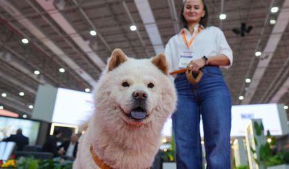Pet İzmir kapılarını dünyaya açtı