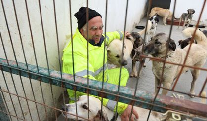 Foça’da can dostlar için şeffaflık dönemi