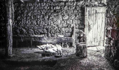 Kars’ın kazları İzmir’de sergilendi