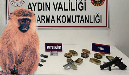Kaçakçılık operasyonu: Evden tabanca, mermi ve maymun çıktı