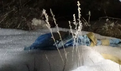 Mezarlıkta dehşete düşüren manzara