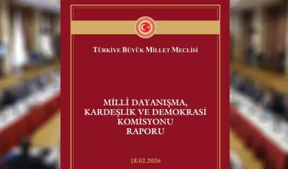 TBMM resmi sitesinde Çözüm sürecine ilişkin rapor yayımlandı