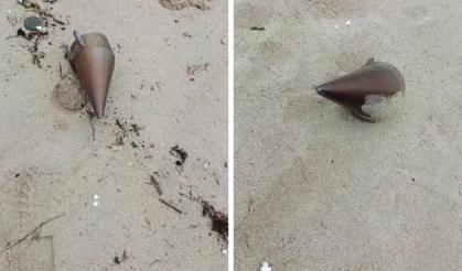 Kıyıya vurdu, ekipler harekete geçti